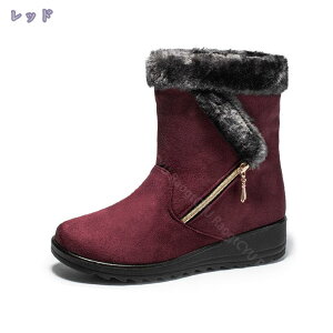 300~OFFN[| Xm[u[c fB[X Wbp[  hC ~C N ~pu[c y hu[c h V[gu[c JWA C ȌC ʋΒʊw ϋv Ή E֗ 