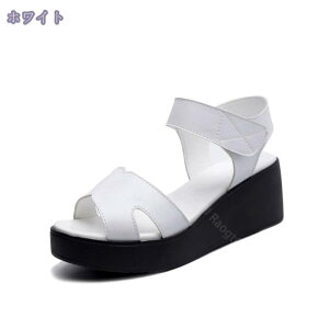 1000~OFFN[| fB[XV[Y EGbW\[ T_ Xgbv  6cmq[ ɂȂ Ȃ ₷ fB[XC t EFbW C fB[X IV  r