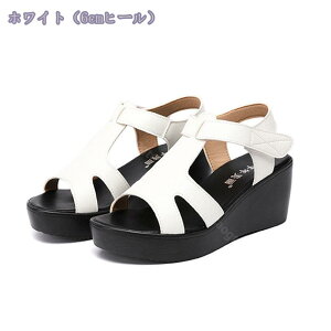 1000~OFFN[| fB[X EFbW\[ T_  EFbWq[ XgbvT_ t@bV ItBXT_ fB[Xt@bV  I[vgD nCq[ Xg