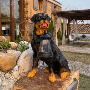 1000~OFFN[| V[Y   \[[Cg  K[f uCg I[ig fR[V IuWF v[g O  AEghA welcome  ̑ 