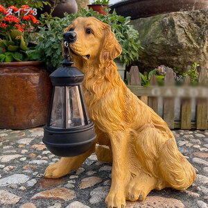 1000~OFFN[| V[Y   \[[Cg  K[f uCg I[ig fR[V IuWF v[g O  AEghA welcome  ̑ 