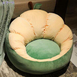 1000~OFFN[| V[gNbV A{Jh  w ֎q NbV `FANbV ~j\t@[ ֎q zc  KɂȂȂ Sn wăNV 