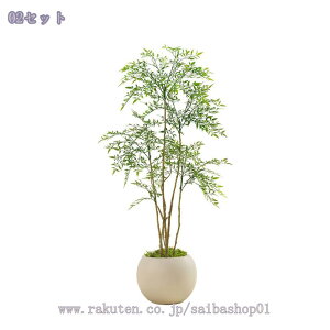 2000~OFFN[| V| ^ CeAO[ p lHϗtA Aȗt Ϗܗp ԉo  q JtFCeA   t Cɂ y