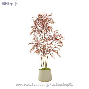 tFCNO[ lHϗtA ^ Aȗt̎ ^ ϗtA O[vg lH N₩ȐF Be Ƃ̑  O  Aؔt lHV| / Mtg 180
