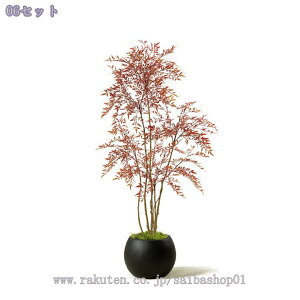 tFCNO[ lHϗtA ^ Aȗt̎ ^ ϗtA O[vg lH N₩ȐF Be Ƃ̑  O  Aؔt lHV| / Mtg 180