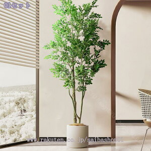 2000~OFFN[| lHϗtA ^ tFCNO[  p O[ {  rOEqԁEX܃fBXvCɍœK y A t ԕsv C