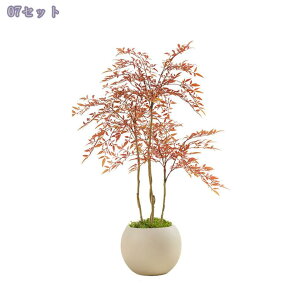 2000~OFFN[|  tFCNO[ lHϗtA ^ p q CeA ͂Ȃ t rO Rȕ ItBX JtFΉ y sv Vzj Ϗܗp l