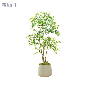 2000~OFFN[| lHϗtA ^ tFCNO[  p O[ {  rOEqԁEX܃fBXvCɍœK y A t ԕsv C