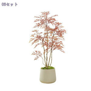 2000~OFFN[|  tFCNO[ lHϗtA ^ p q CeA ͂Ȃ t rO Rȕ ItBX JtFΉ y sv Vzj Ϗܗp l