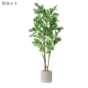 1000~OFFN[| tFCNO[ k lHϗtA p CeAO[ Ȕt i` _EkEN[ CeAɍœK ͂Ȃ rO⌺ւ