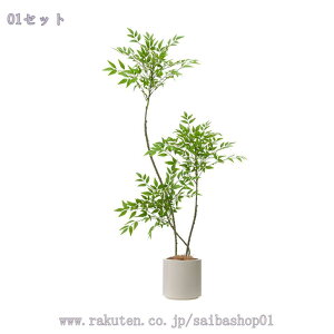 p tFCNO[ ^ V| ϗtA lHϗtA ͋C CeAO[ ^A rO Q  ItBX Xܑ i` ԉo ȒP 