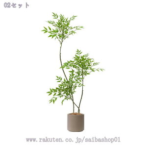 3500~OFFN[| ^ V| tFCNA CeAO[ p lHO[ ϗtA Aȗt ԉo  q JtFCeA   t