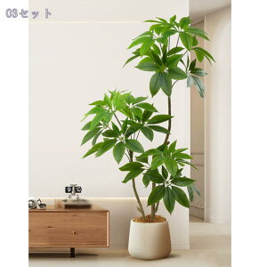 ^ϗtA AlHO[ t^Cv tp\c[ p CeA tFCN~ t qԁEX܁EڎEւɍœK sv̑iO[ 140cm Rao