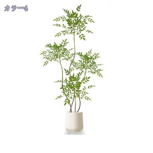 1000~OFFN[| ie̖ tFCNO[  ^ A {   rO  ֏ R̕ Ǝ{ i` R[i[Xy[X sv l