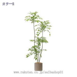 tFCNO[ ^ lHϗtA { tFCNc[  ֐ X  rO JtF  R[i[u ͂Ȃ Vzj t ȒP sv Mtg 