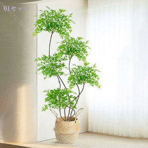 2000~OFFN[| lHϗtA ^ CeA {   A u Ύ rO \t@  tFCNO[ t  i JXj JƏj