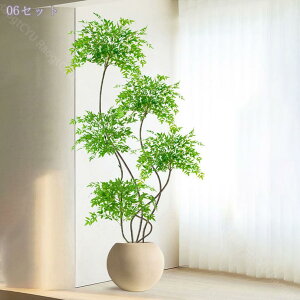 1000~OFFN[| ^ tFCNO[ V| lHϗtA ^A CeAO[ p rO//ItBXp yʔt {  Be ԉo _