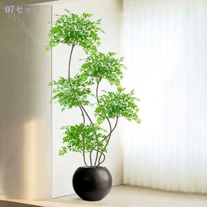 2000~OFFN[| lHϗtA ^ CeA {   A u Ύ rO \t@  tFCNO[ t  i JXj JƏj