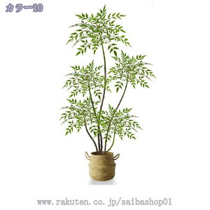 tFCNO[  A V| lHϗtA CeAO[ {  ^A rOE\t@EւɍœK i` y sv Ή 