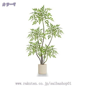 1000~OFFN[| tFCNO[  A V| lHϗtA CeAO[ {  ^A rOE\t@EւɍœK i` y 