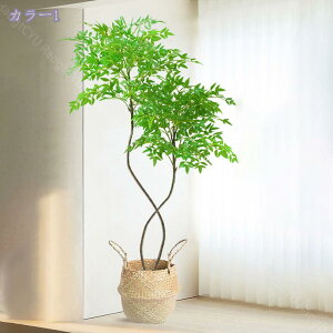 2000~OFFN[| lHϗtA ^ V| tFCNO[ p ͗lւɕ֗ AȎ yʐ݌v ԂɍʂƖ rO  Xܑ t  CeAO