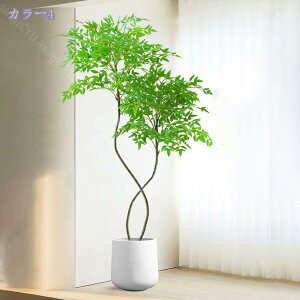 1000~OFFN[| lHϗtA ^ V| tFCNO[ p ͗lւɕ֗ AȎ yʐ݌v ԂɍʂƖ rO  Xܑ t  CeAO