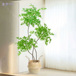 1000~OFFN[| tFCNO[  A V| lHϗtA CeAO[ {  ^A rOE\t@EւɍœK i` y 