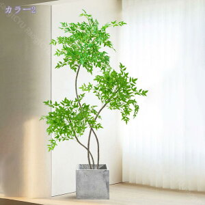 1000~OFFN[| tFCNO[  A V| lHϗtA CeAO[ {  ^A rOE\t@EւɍœK i` y 