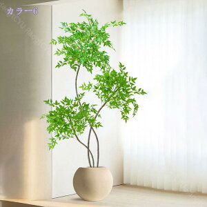 1000~OFFN[| tFCNO[  A V| lHϗtA CeAO[ {  ^A rOE\t@EւɍœK i` y 