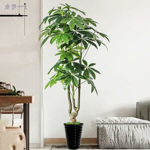 2000~OFFN[| lHϗtA ^ A  CeA {  ͂Ȃ \t@ u  rO ItBX X܃fBXvC Ϗܗp ƖpΉ JXj JƏj