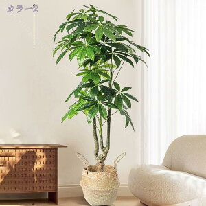 1000~OFFN[| lHϗtA ^ A  CeA {  ͂Ȃ \t@ u  rO ItBX X܃fBXvC Ϗܗp ƖpΉ JXj JƏj