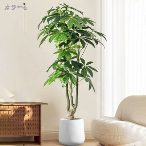 2000~OFFN[| lHϗtA ^ A  CeA {  ͂Ȃ \t@ u  rO ItBX X܃fBXvC Ϗܗp ƖpΉ JXj JƏj