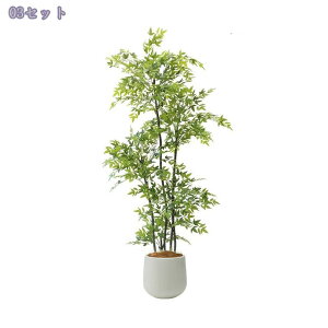 2000~OFFN[| tFCNO[ ^ ͂Ȃ A n { lHϗtA rO   CeAO[ Ϗܗp Vzj  RȎp ȒP A 