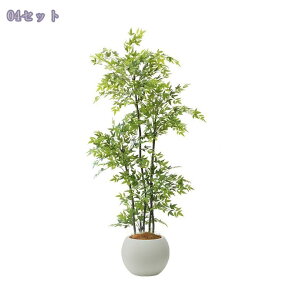 1000~OFFN[| tFCNO[  ^ A {   rO  ֏ R̕ Ǝ{ i` R[i[Xy[X sv lHϗtA M