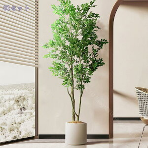 lHϗtA ^ CeA rO ItBX Xܑ   Ϗܗp tFCNO[  k  fR[V ze r[ u gsJ t 120