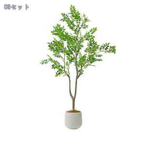 tFCNO[  A lHϗtA CeAO[ {  ^A rOE\t@EւɍœK i` y sv Ή 120CM 