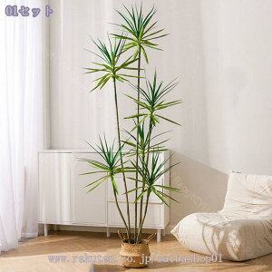 2000~OFFN[| tFCNO[ hZi lHϗtA p CeAO[ Ȕt i` _EkEN[ CeAɍœK ͂Ȃ rO⌺