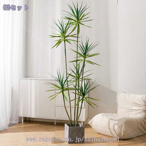 1000~OFFN[| tFCNO[ hZi lHϗtA p CeAO[ Ȕt i` _EkEN[ CeAɍœK ͂Ȃ rO⌺