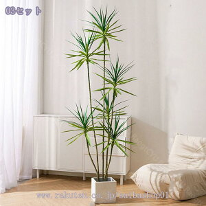 1000~OFFN[| tFCNO[ hZi lHϗtA p CeAO[ Ȕt i` _EkEN[ CeAɍœK ͂Ȃ rO⌺