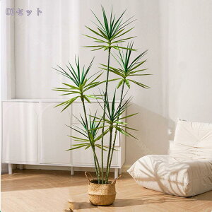 2000~OFFN[| tFCNO[ lHϗtA ^ t   gsJ p CeAO[ rO  ItBX k  MtgΉ tFCNh