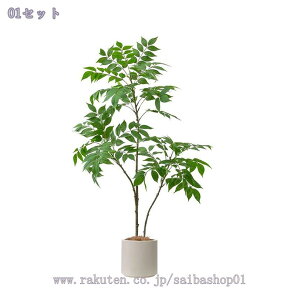 1000~OFFN[| p ^t FCNO[ t lHϗtA A rOEցELEQ CeAO[ Ԃ炸 ͂ȂA ͋C X܃fBXv