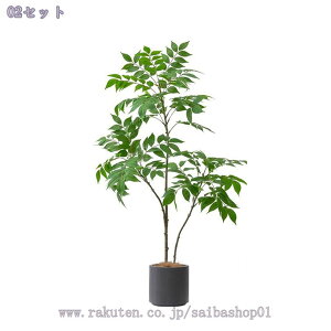 1000~OFFN[| p ^t FCNO[ t lHϗtA A rOEցELEQ CeAO[ Ԃ炸 ͂ȂA ͋C X܃fBXv