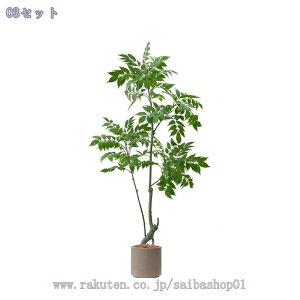 1000�~OFF�N�[�|�� �����p ��^�t �F�C�N�O���[�� �����t �l�H�ϗt�A�� ���A�� ���r���O�E���ցE�L���E�Q������ �C���e���A�O���[�� ��Ԃ��炸 �͂�Ȃ��A�� �������������͋C �X�܃f�B�X�v