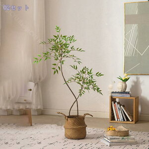 1000~OFFN[| lHϗtA tFCNO[ ^ A {   rO  ֏ R̕ Ǝ{ i` R[i[Xy[X sv A 