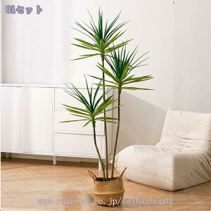 1000~OFFN[| hZi tFCNO[ ^ lHϗtA A p rO CeAO[ ͋C ؕfUC ͂ꂸsv _Ԃɍ