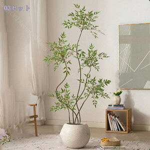 2000~OFFN[| ^ tFCNO[ lHϗtA ^A CeAO[ p rO//ItBXp yʔt {  Be ԉo _ i`