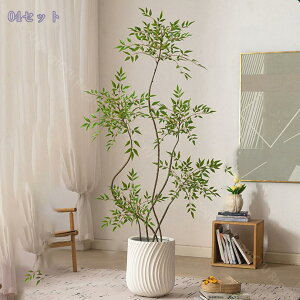 ^ tFCNO[ lHϗtA ^A CeAO[ p rO//ItBXp yʔt {  Be ԉo _ i` 200CM 