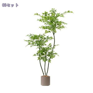 tFCNO[ lHϗtA ^ t   gsJ p tFCNvg CeAO[ rO  ItBX k  MtgΉ 175CM Rao