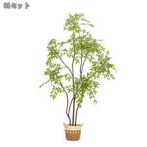 V| tFCNO[ ^A { A  rOE\t@EւɍœK  CeA i` sv Ή lHϗtA 2.0M RaogtCYU