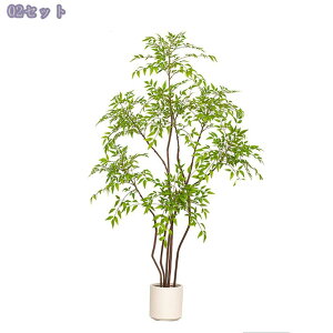 2000~OFFN[| V| tFCNO[ ^A { A  rOE\t@EւɍœK  CeA i` sv Ή lHϗtA 